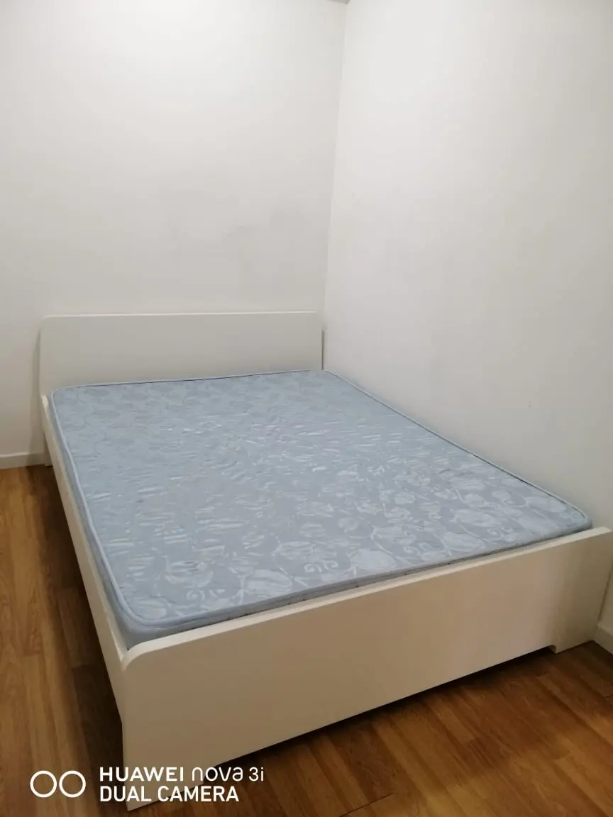 WhatsApp Image 2025-09-14 at 8.51.05 PM (1)